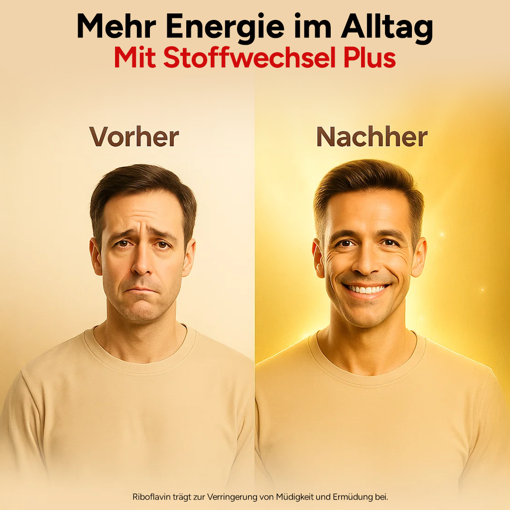 Stoffwechsel Plus – Stoffwechsel Komplex