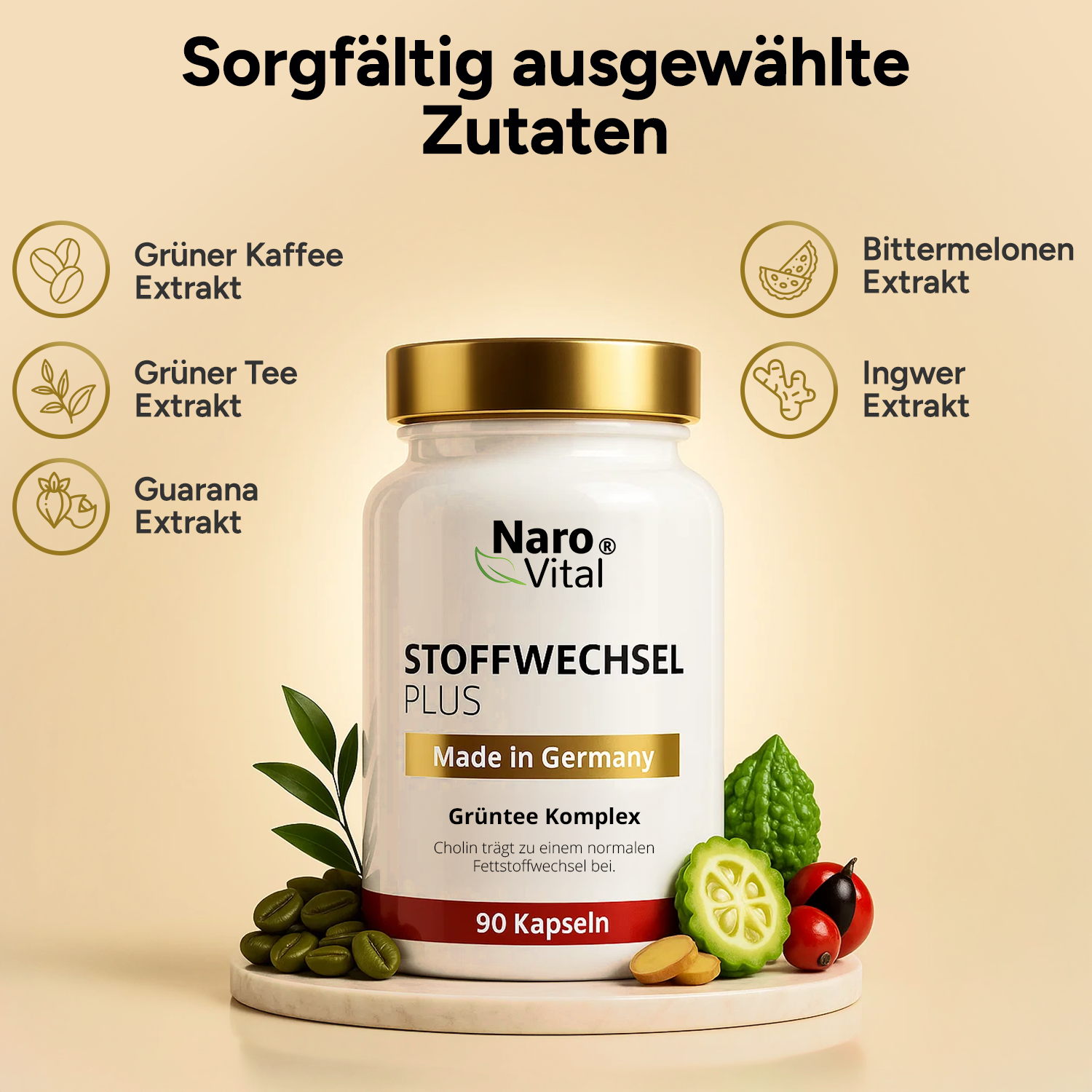 Stoffwechsel Plus – Stoffwechsel Komplex