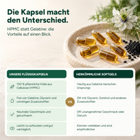 Bio Schwarzkümmelöl Kapseln