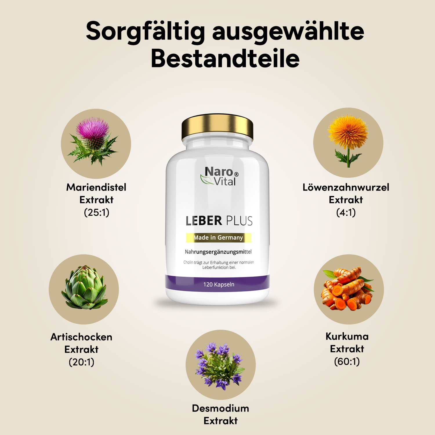Leber Plus – Mariendistel Komplex