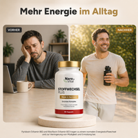 Stoffwechsel Plus – Stoffwechsel Komplex