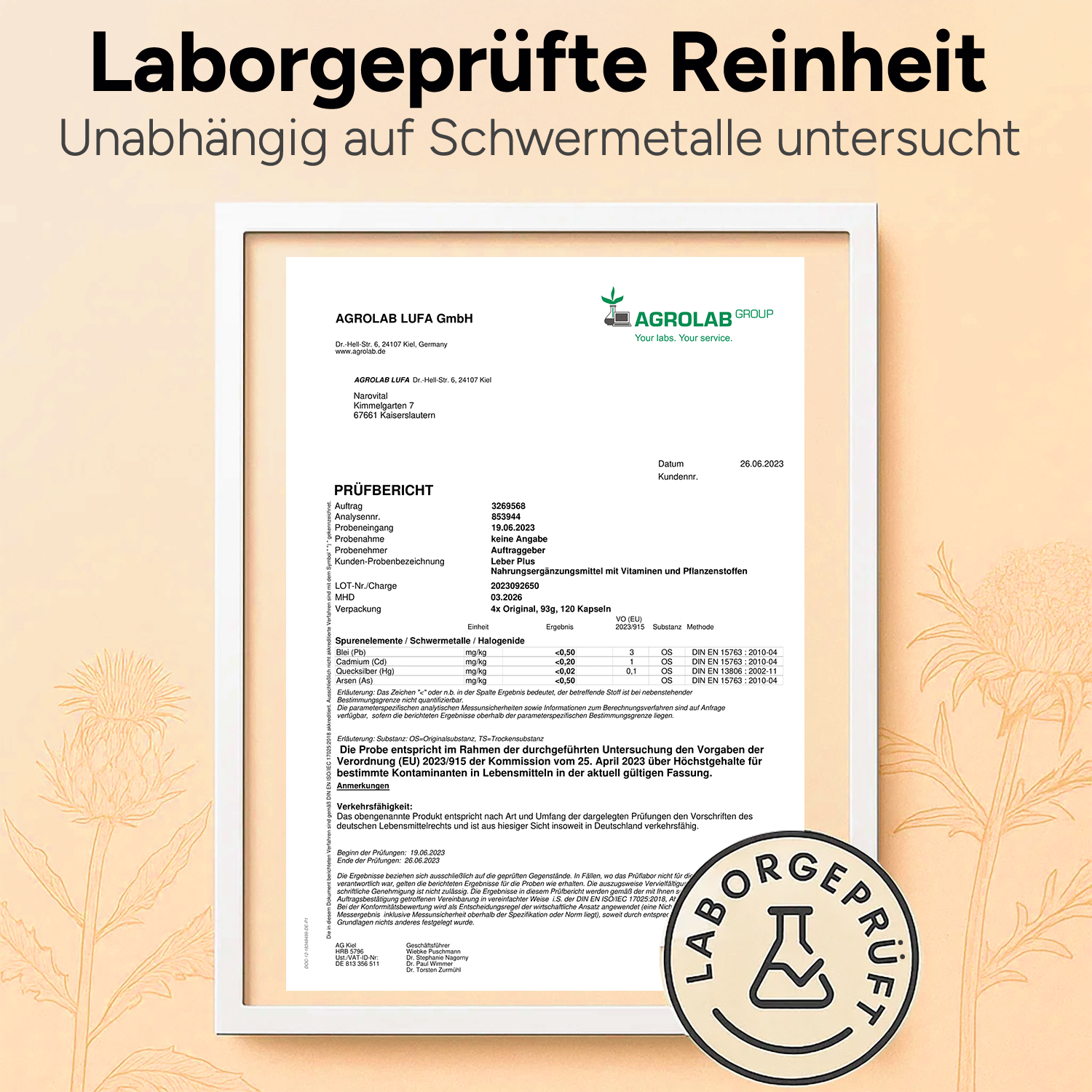 Leber Plus – Mariendistel Komplex