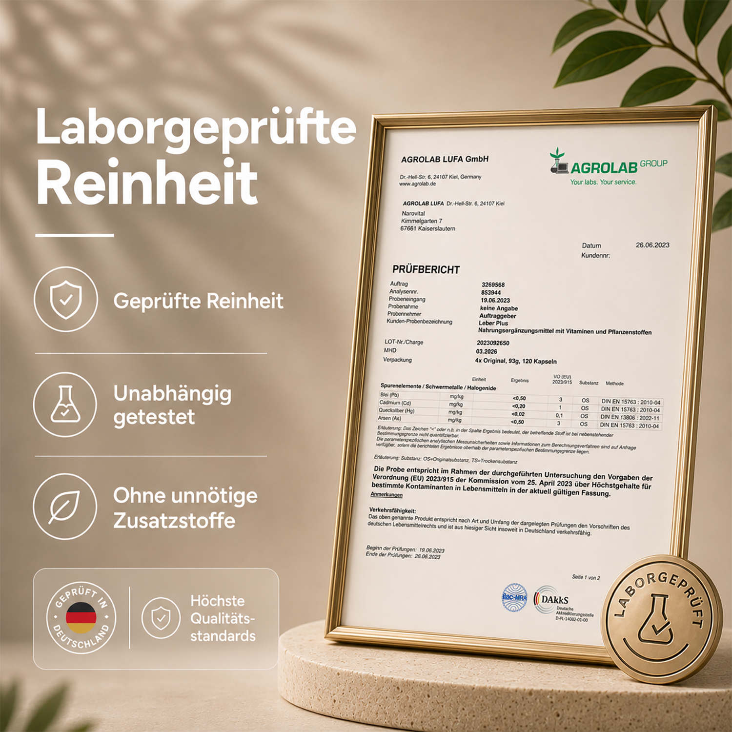 Leber Plus – Mariendistel Komplex