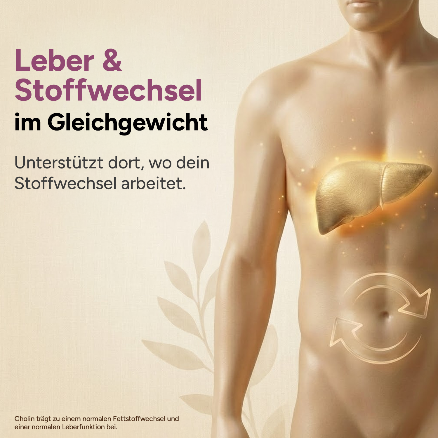 Mariendistel Komplex