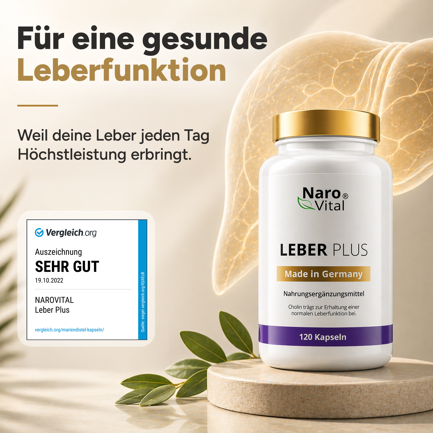Leber Plus – Mariendistel Komplex