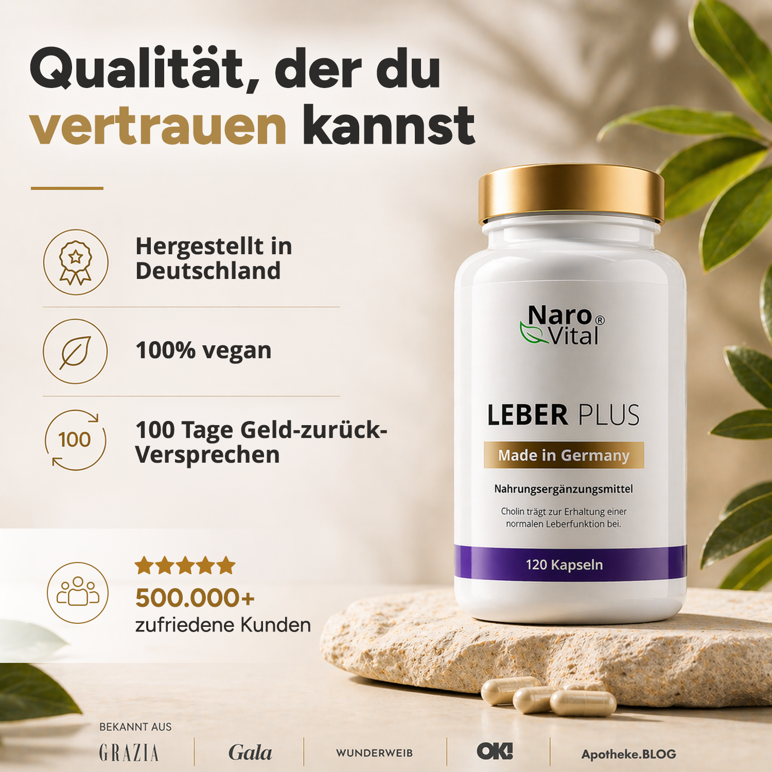 Leber Plus – Mariendistel Komplex