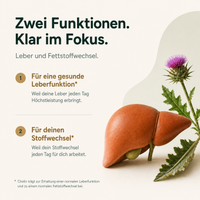 Leber Plus – Mariendistel Komplex