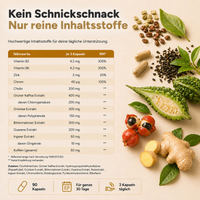 Stoffwechsel Plus – Stoffwechsel Komplex