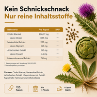 Mariendistel Komplex