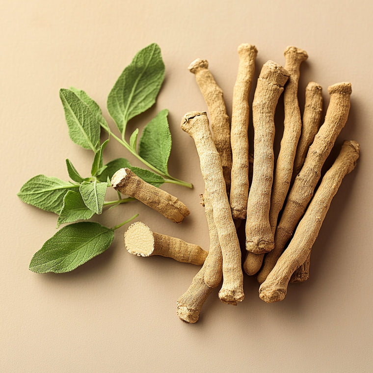 Ashwagandha Extrakt