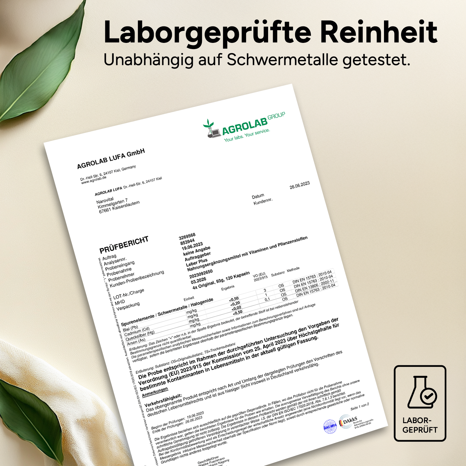 Leber Plus – Mariendistel Komplex
